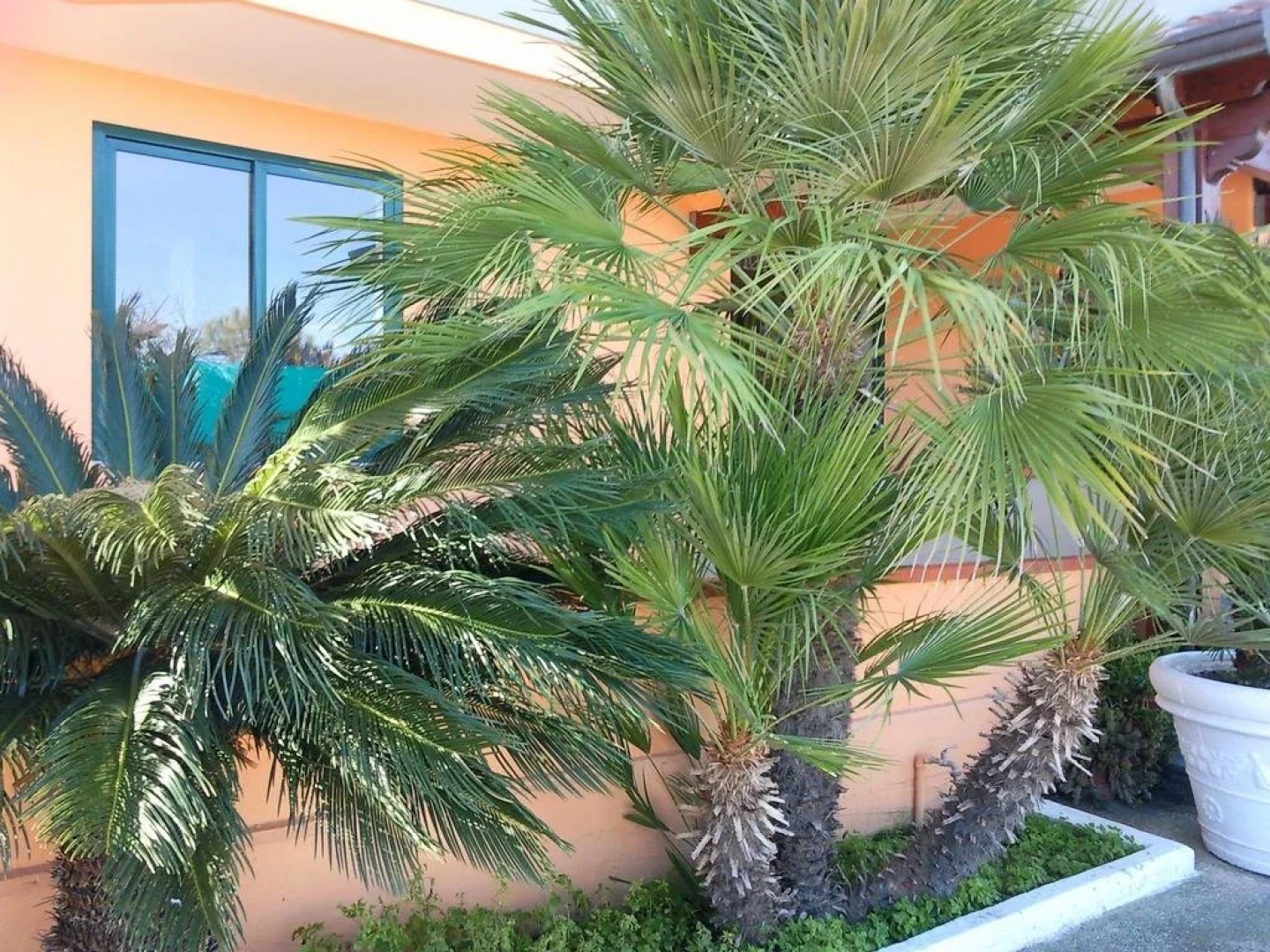 Hotel United