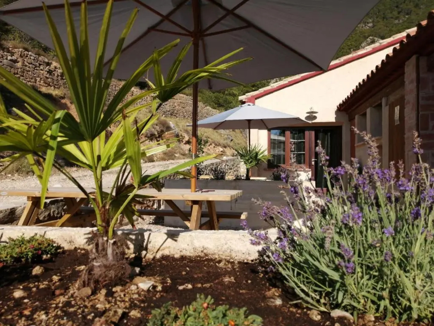 Apartamentos Mas de Pau