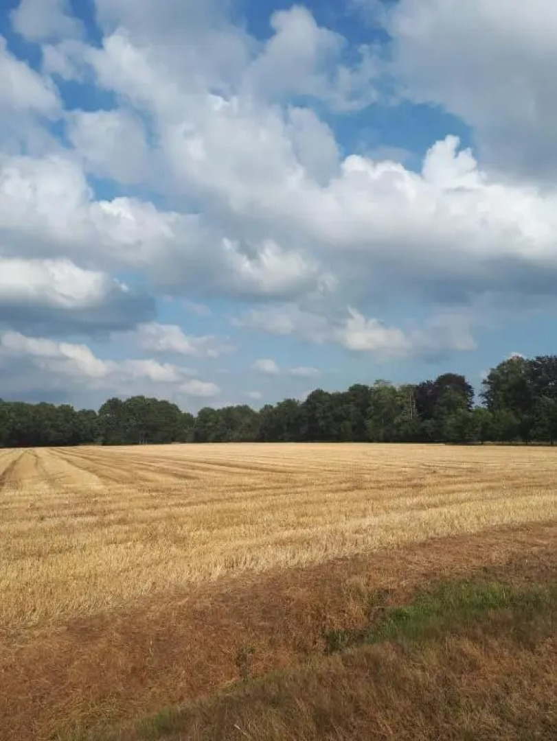 Appartement Soerte Es