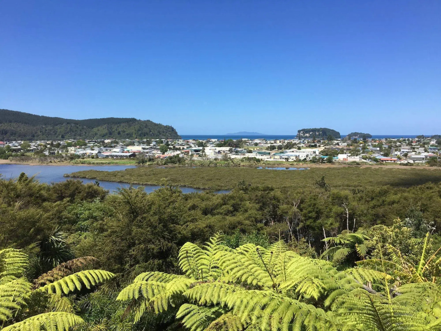 Whangamata Vistas B&B