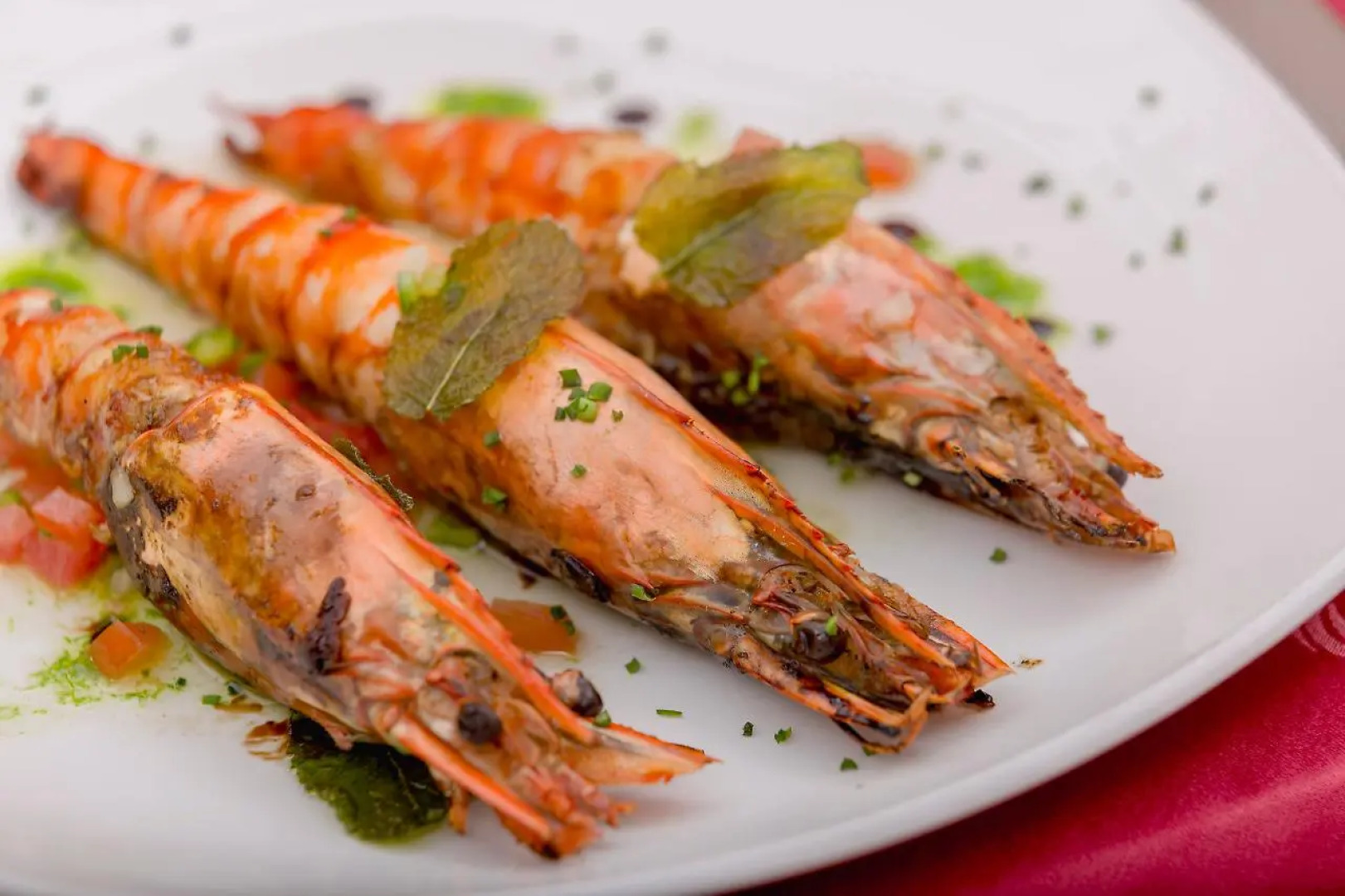 INNSiDE Habana Catedral