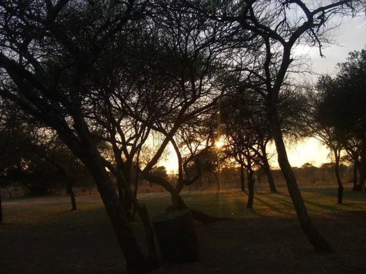 Golden Leopard Resorts - Manyane Resort