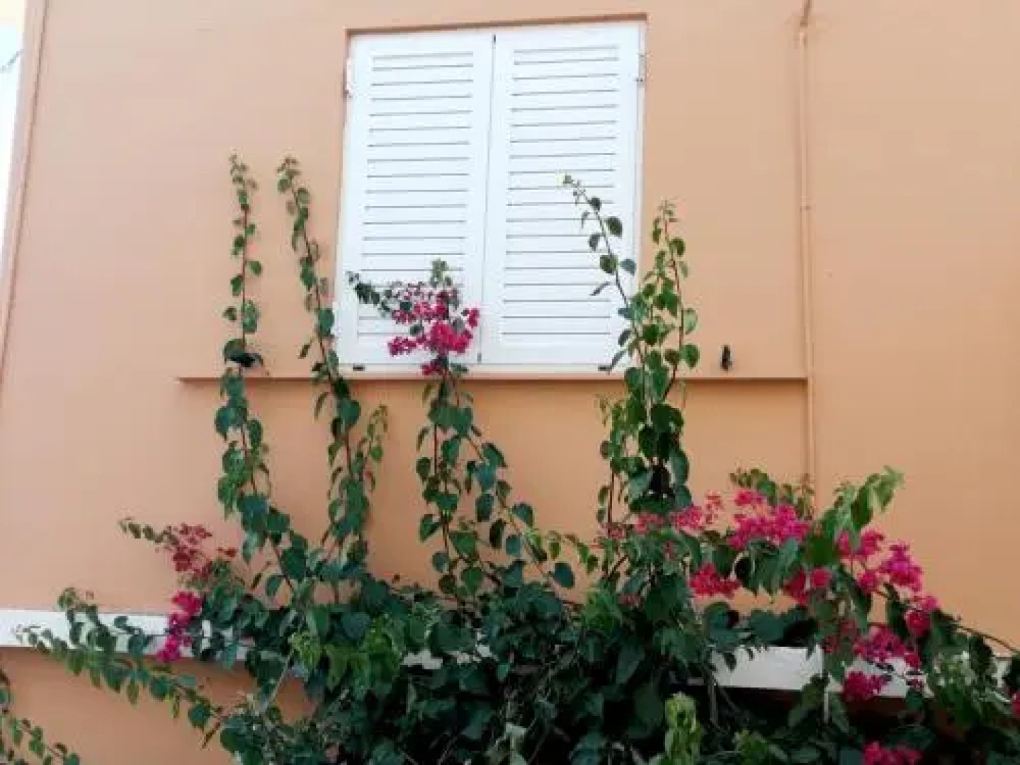 Katerina Rooms & Studios