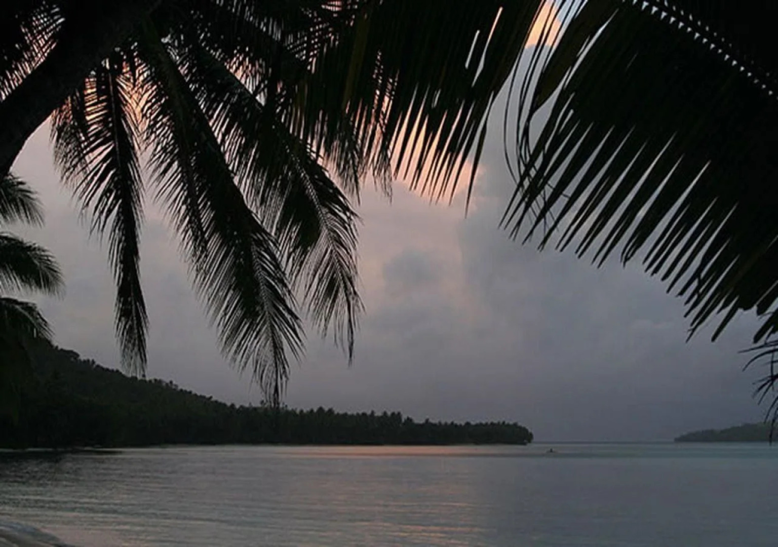 Tarzans Beach Resort