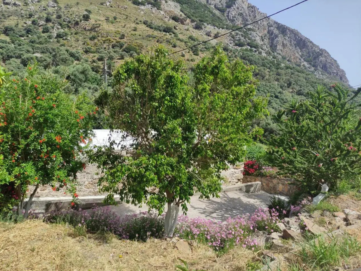 Olga's traditional stone house, Palaiochora