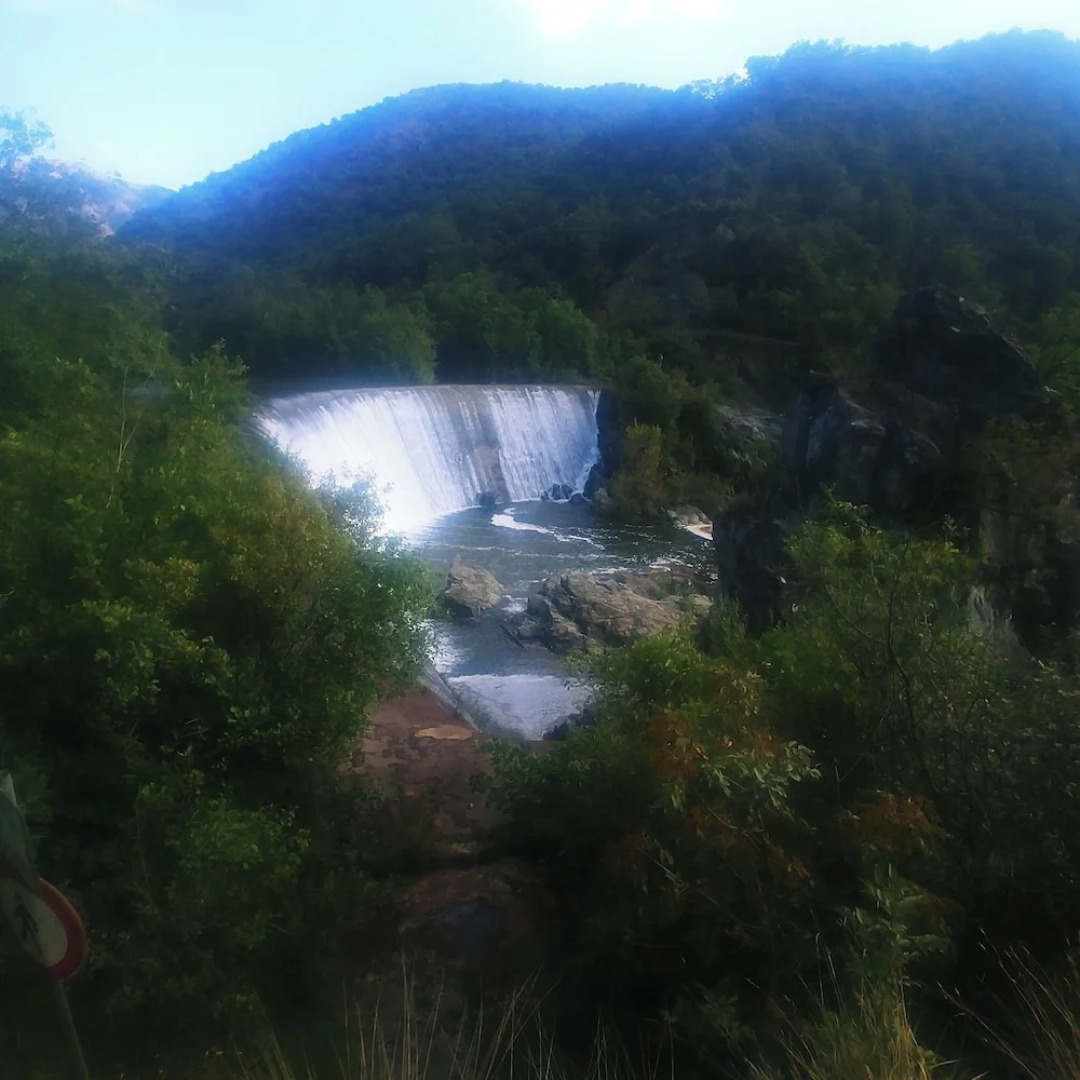 Room-suite Panoramica - Casa T Home Bed