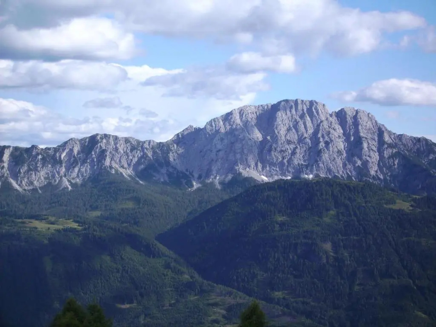 Almgasthof Fichtenheim