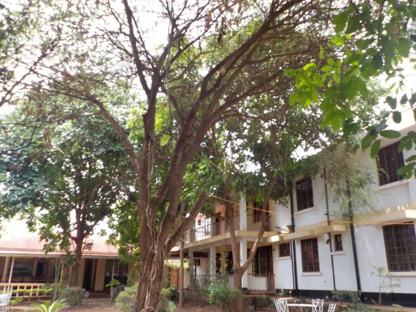 The Pink Daisy Bed and Breakfast