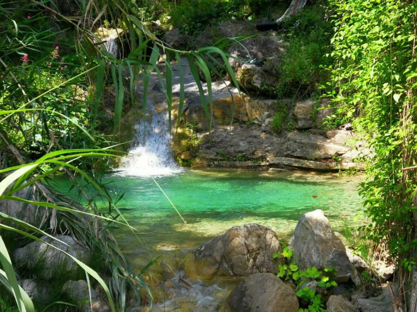 Holiday Homes in Pompeiana 40829