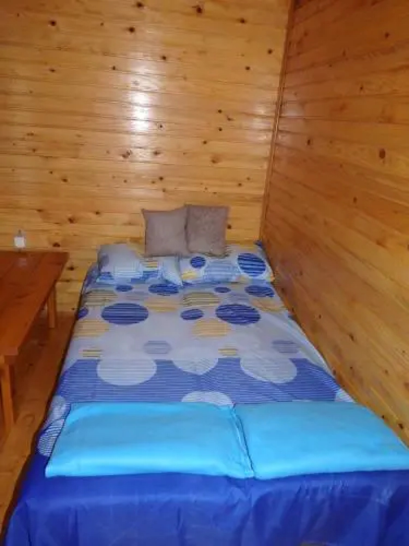 Tezej kucica