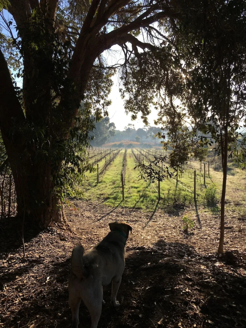 Stellar Overberg Travellers Lodge