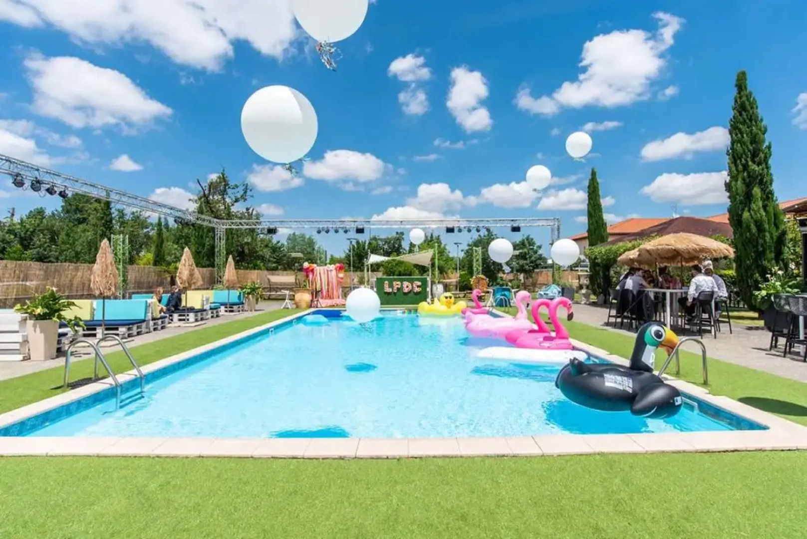 Le Canard Sur Le Toit