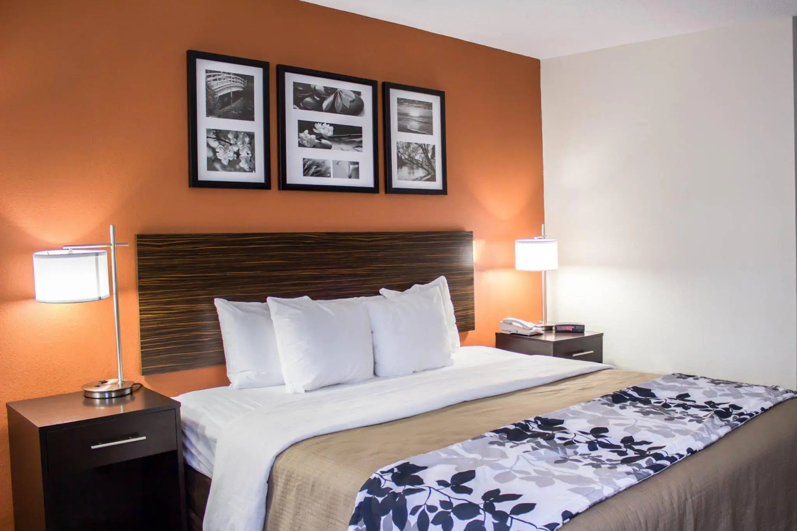 Sleep Inn Wilson near I-95