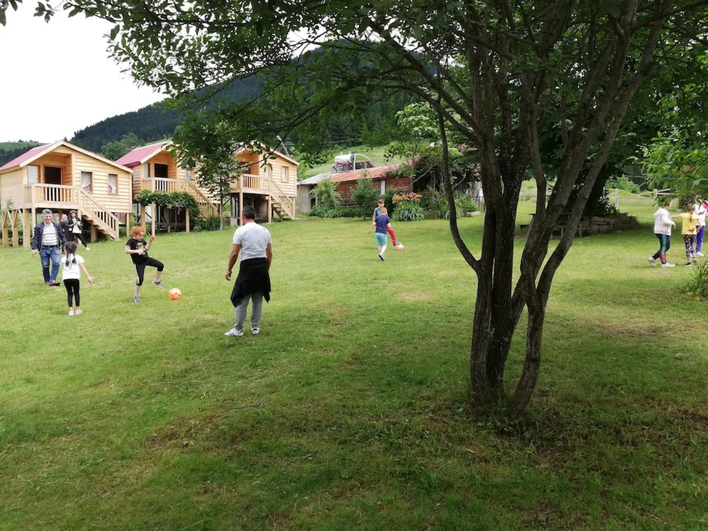 Pilav Dagi Yavuzyilmaz Tesisleri