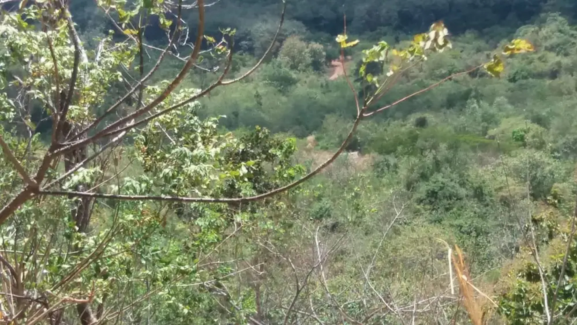 Nalanda Relaxation And Caping Site