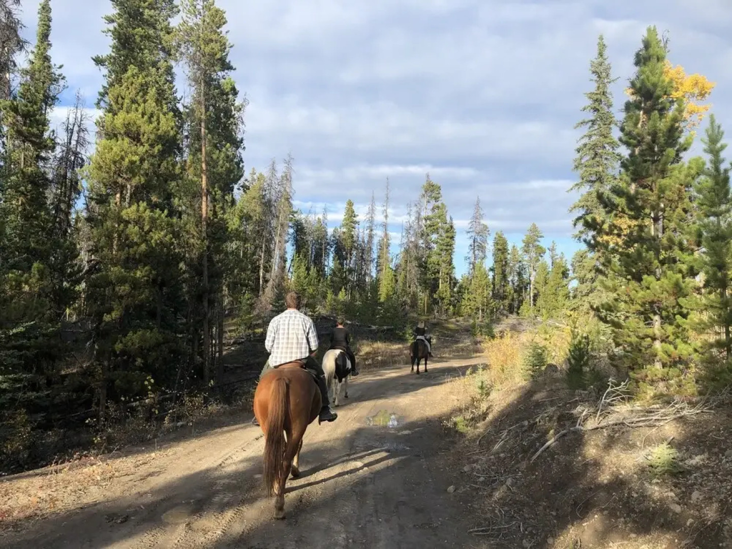 Red Cariboo Apartments