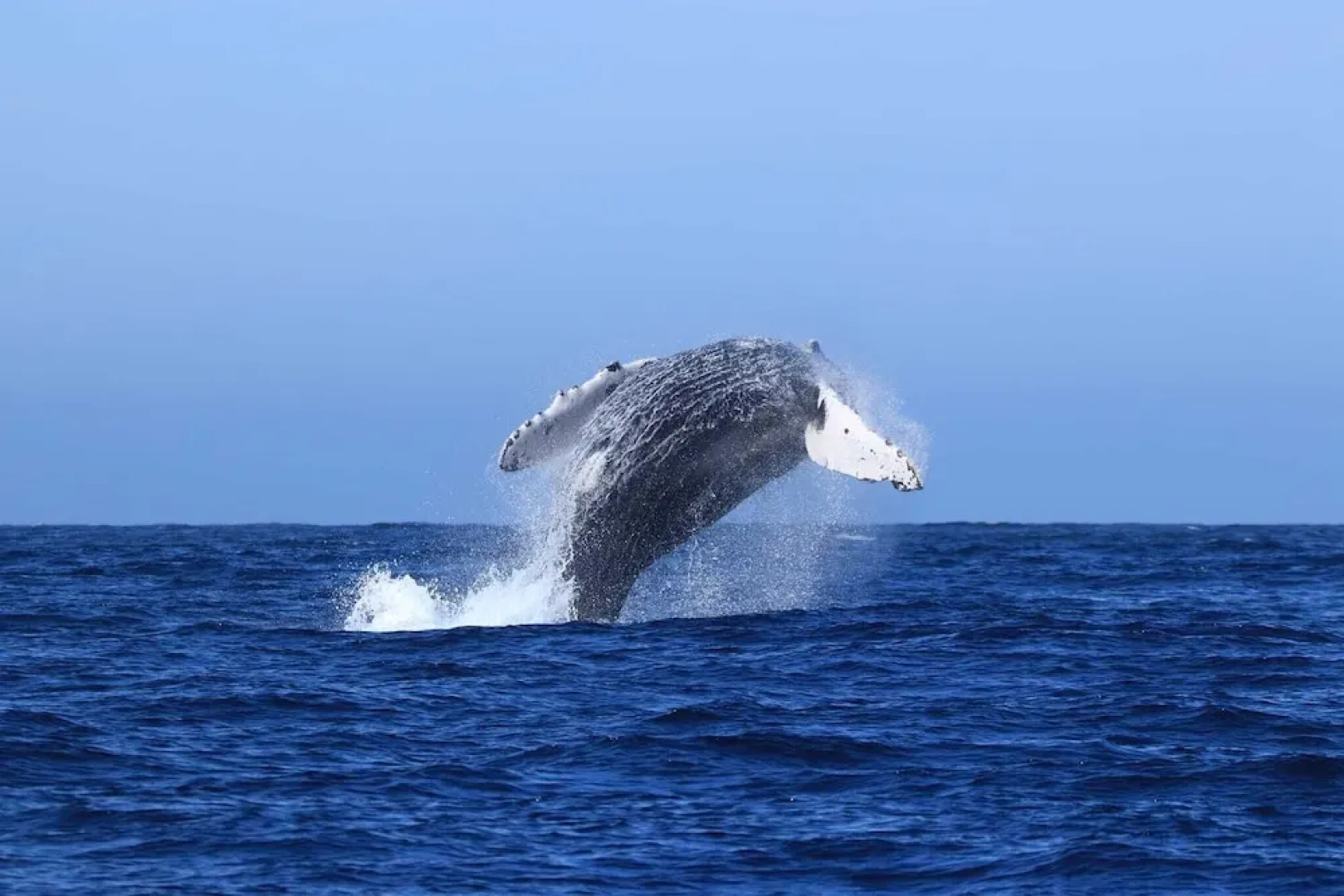 The Islands of Loreto Resort and Spa