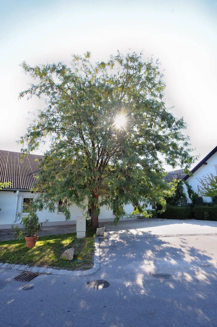 Sporthotel Podersdorf