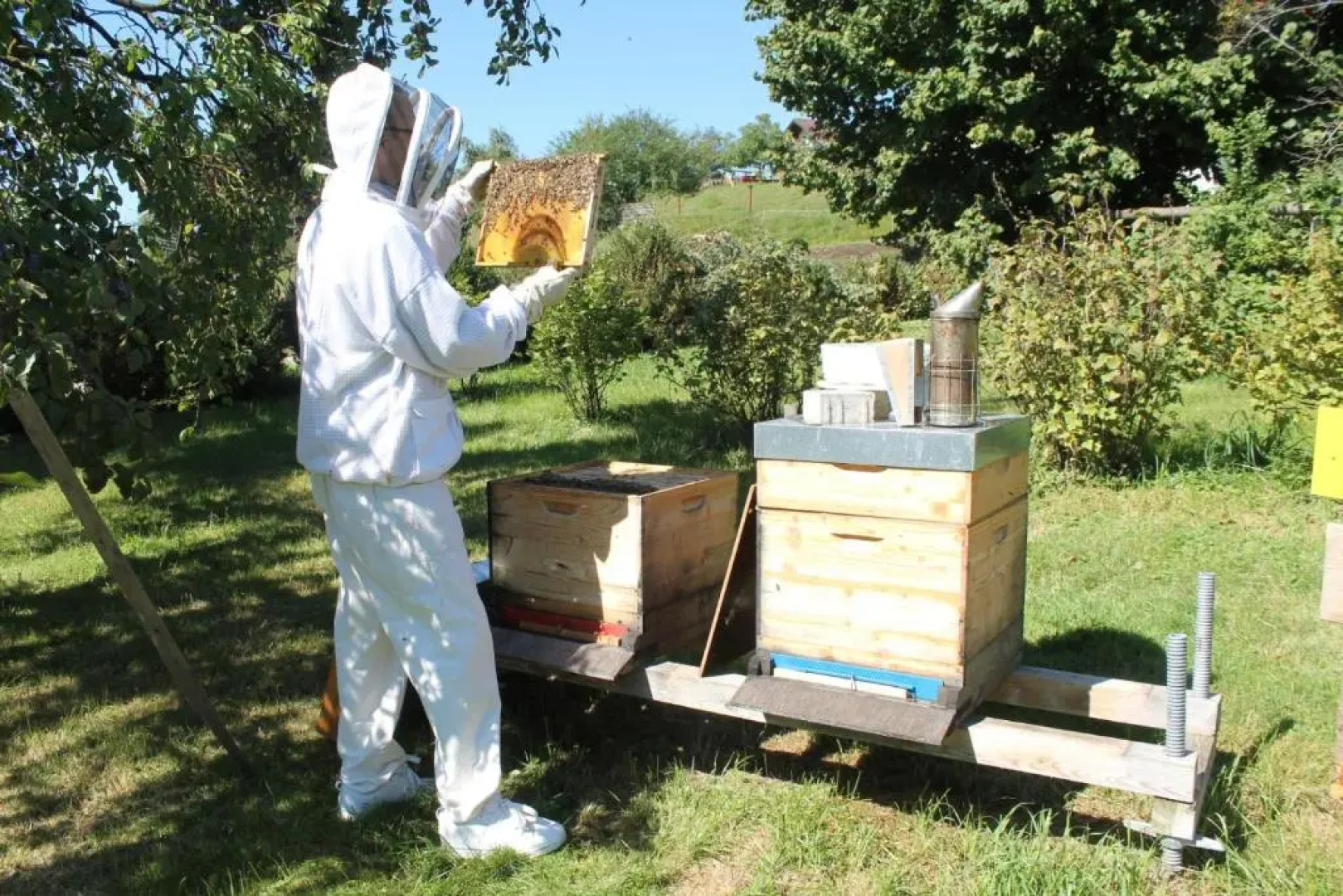 Bio Archehof Zachhiesen