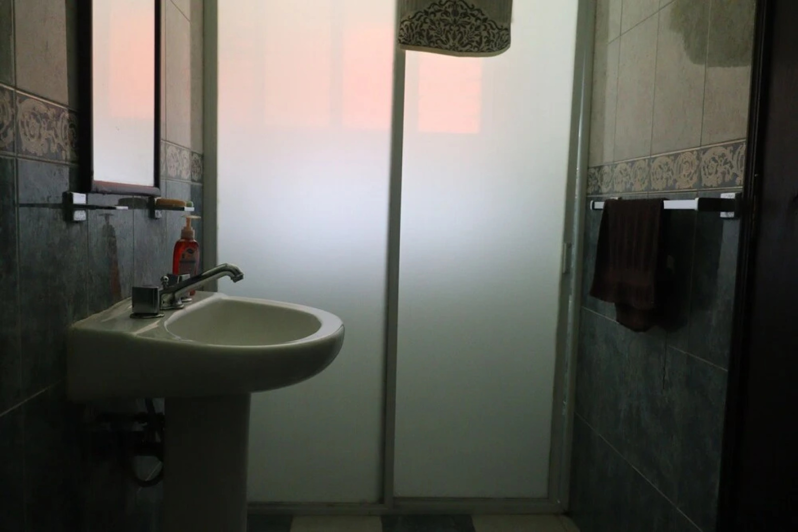 House of Ficus Banderilla,veracruz-mexico