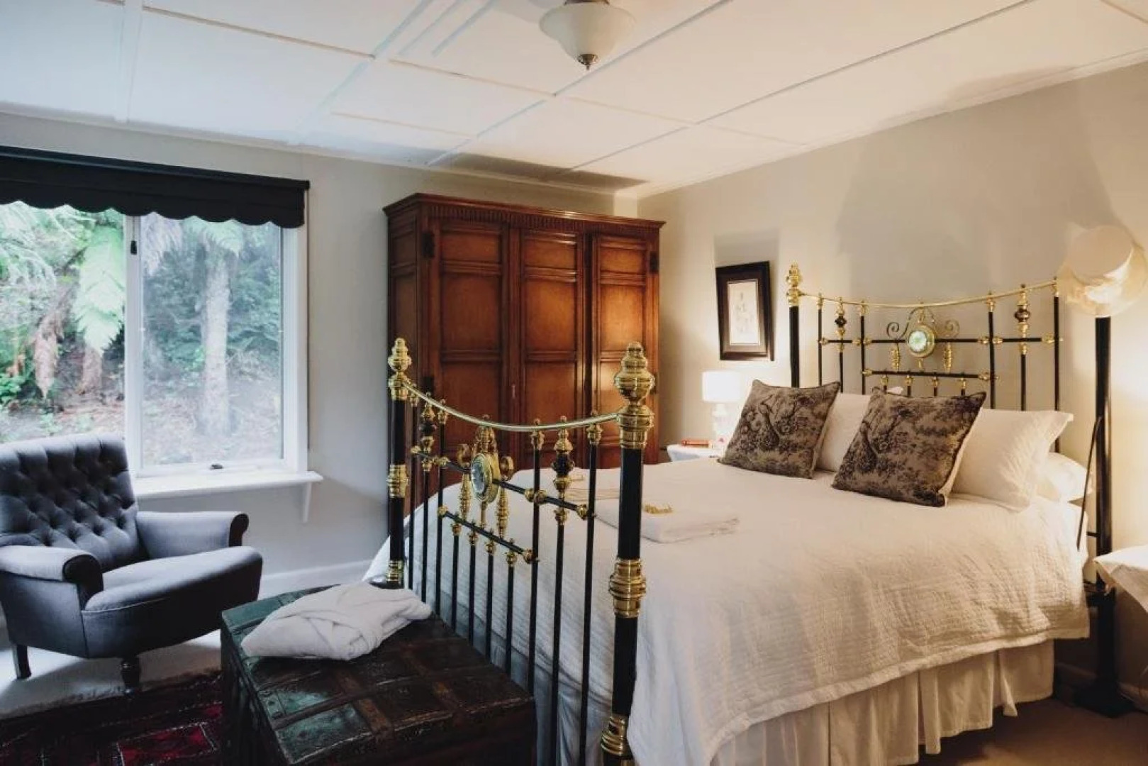 Dingleigh of Sassafras (Adults Only)