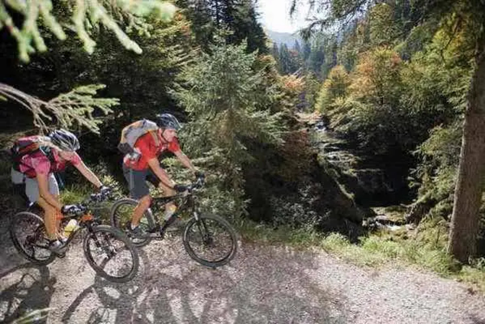 Wohlfühlgasthof Friedlwirt