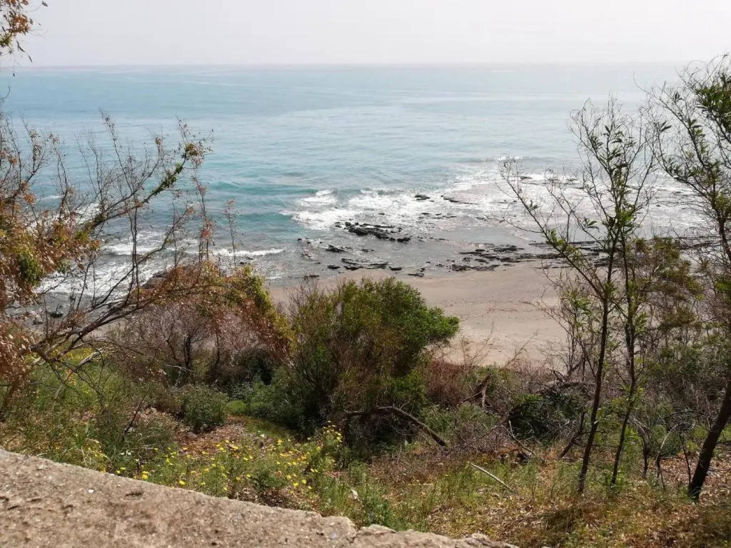 Residence Conchiglia