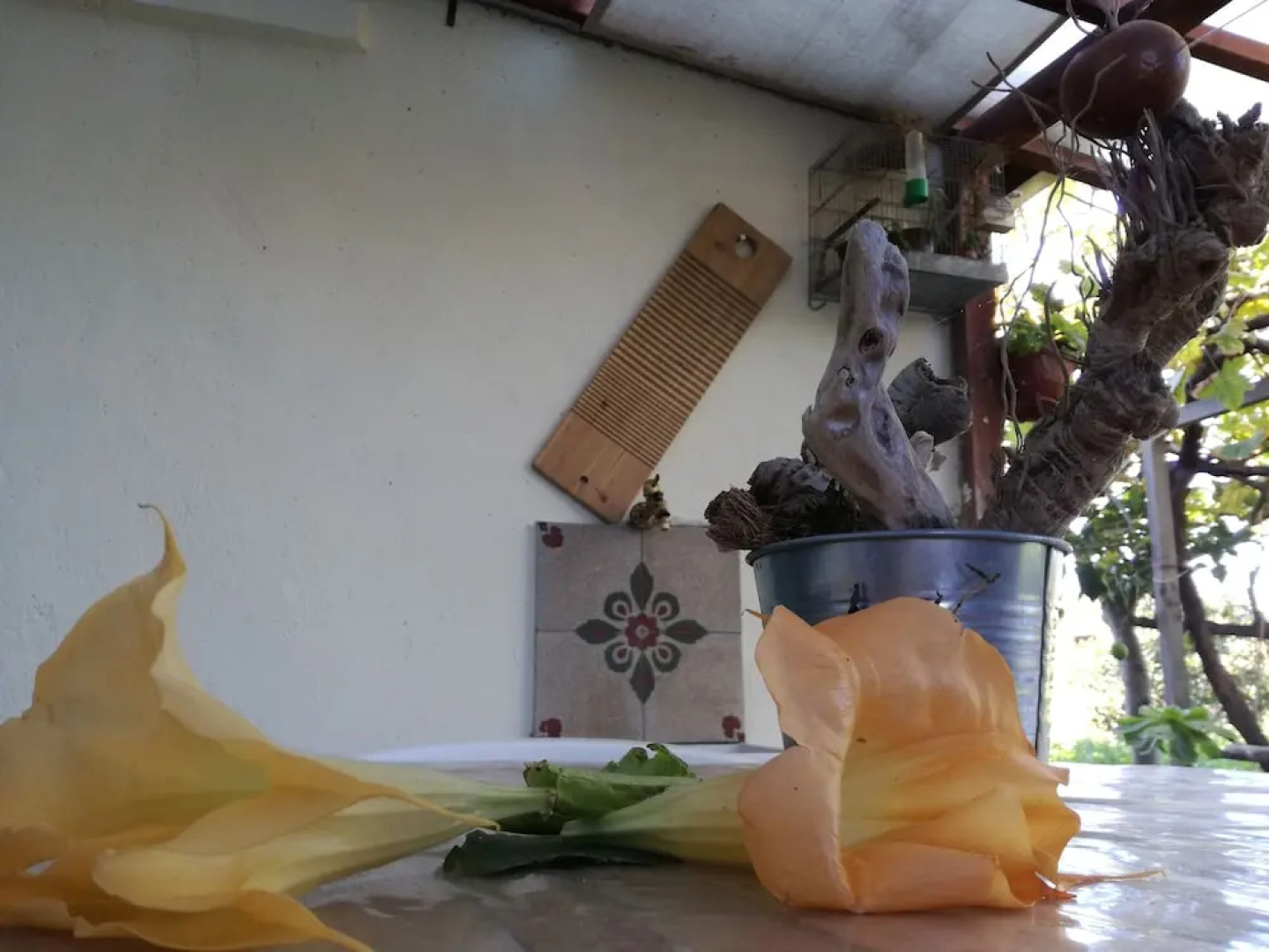 Il Fenicottero Guest House