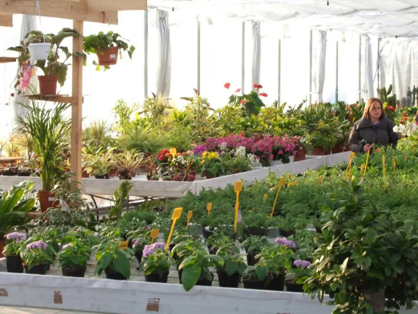 Agriturismo LAcero Rosso