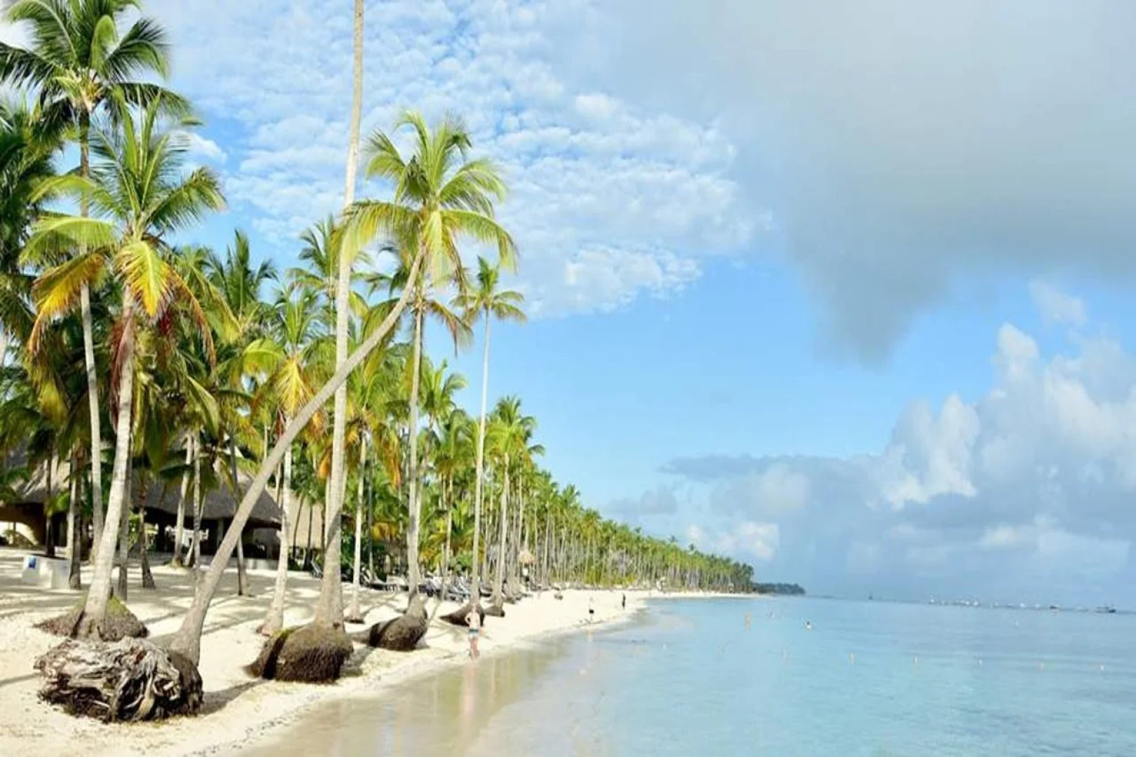 Barcelo Bavaro Palace - Всё включено