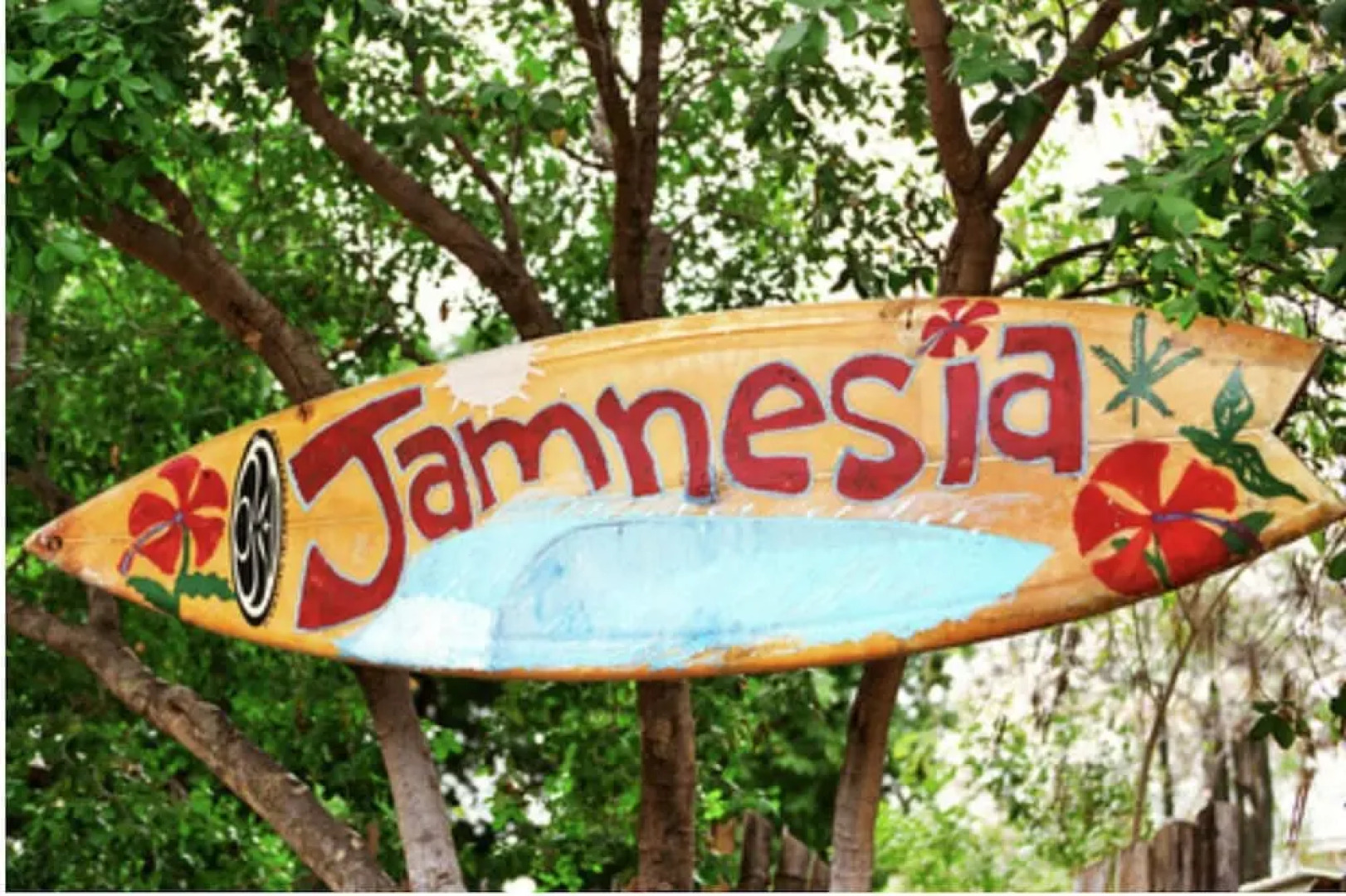 876 JA Oasis by Kingston Airport