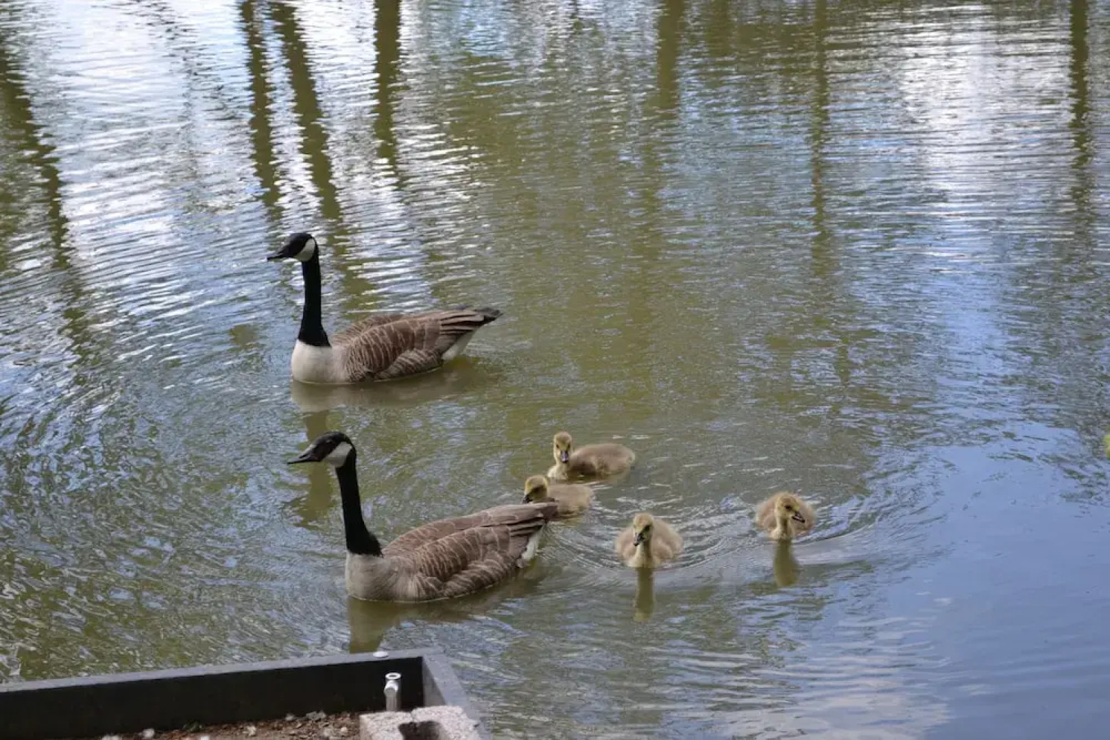The Pool House at Upper Farm Henton
