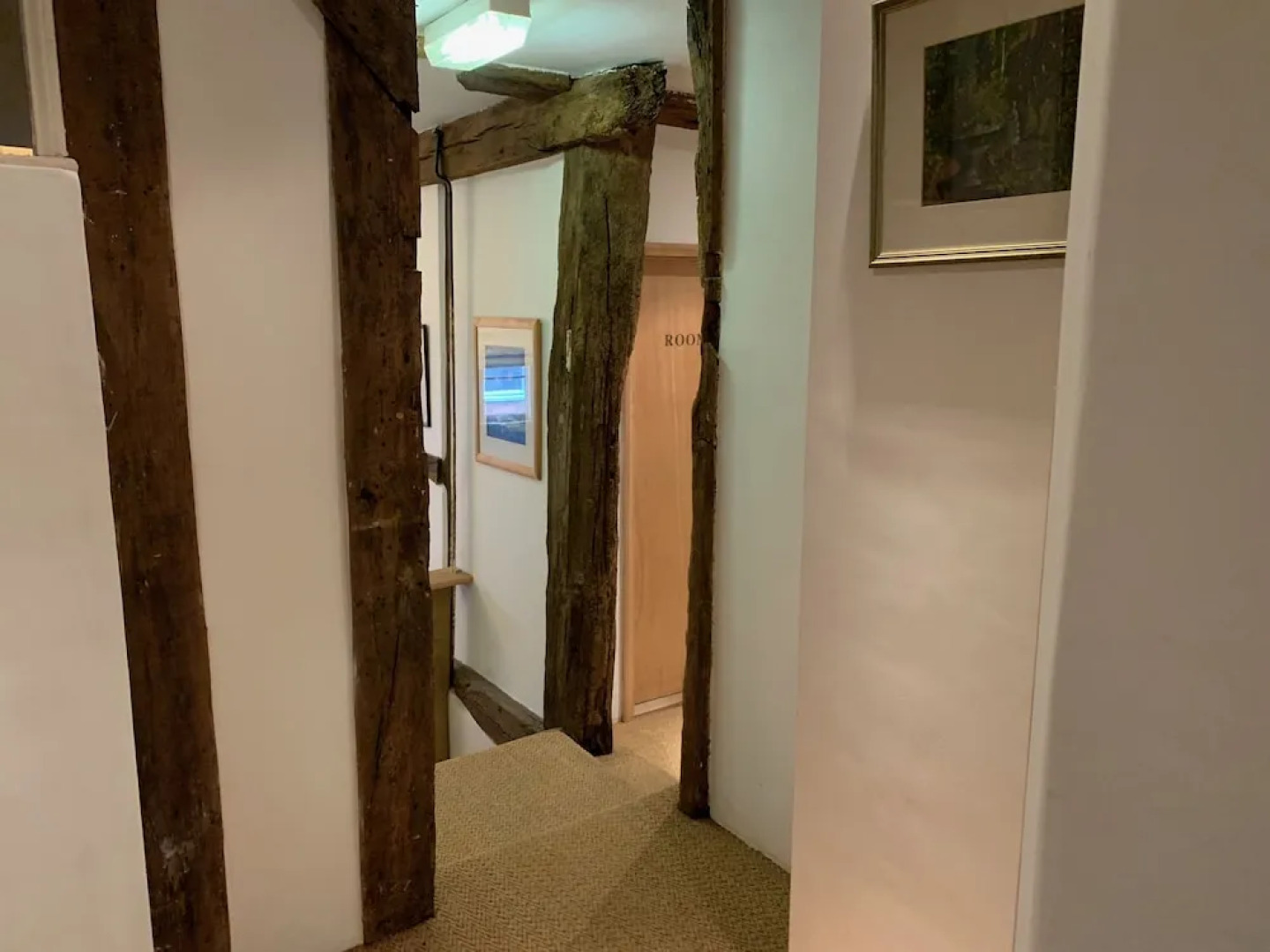 Rooms at no Three, Chameleon House