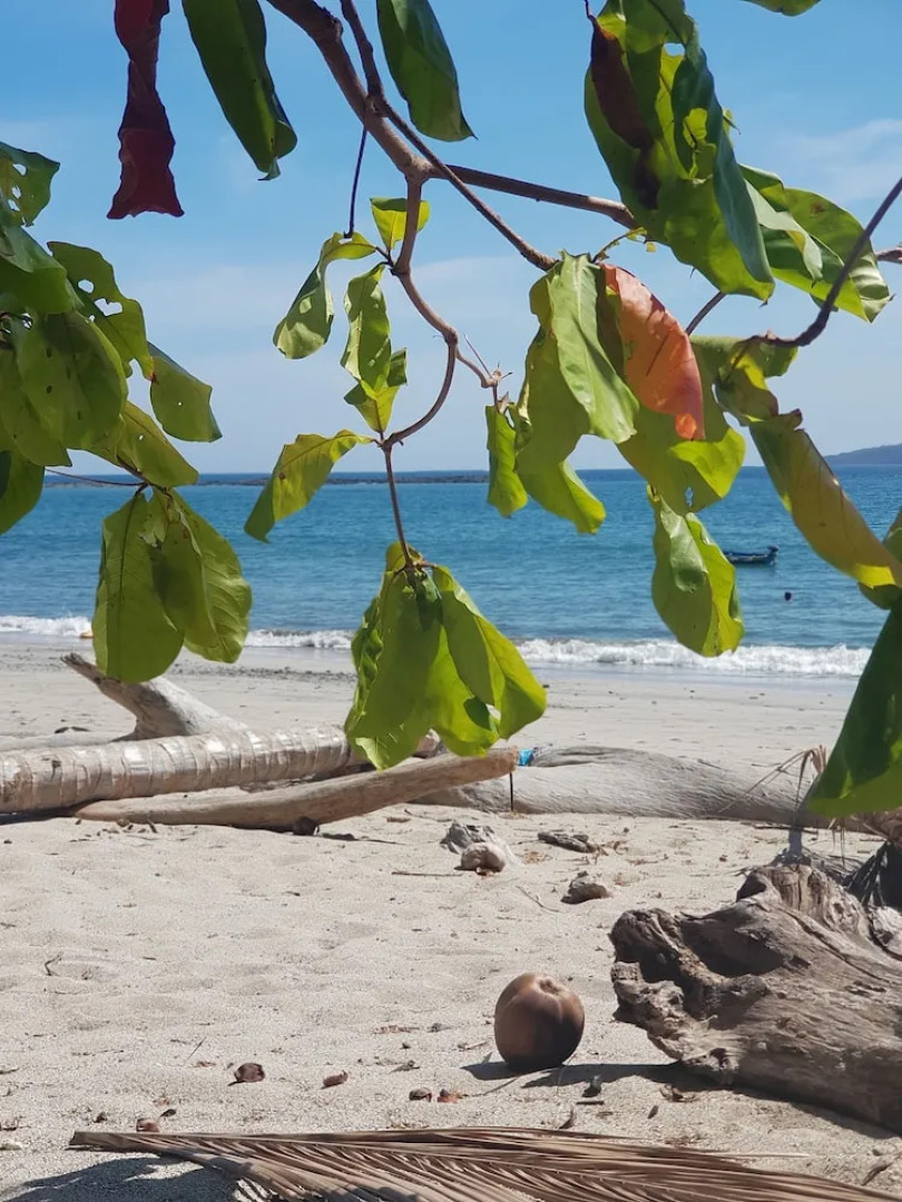 Welcome to House Beach and River