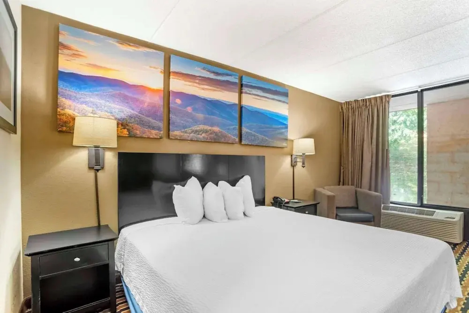 Quality Inn near Speedway