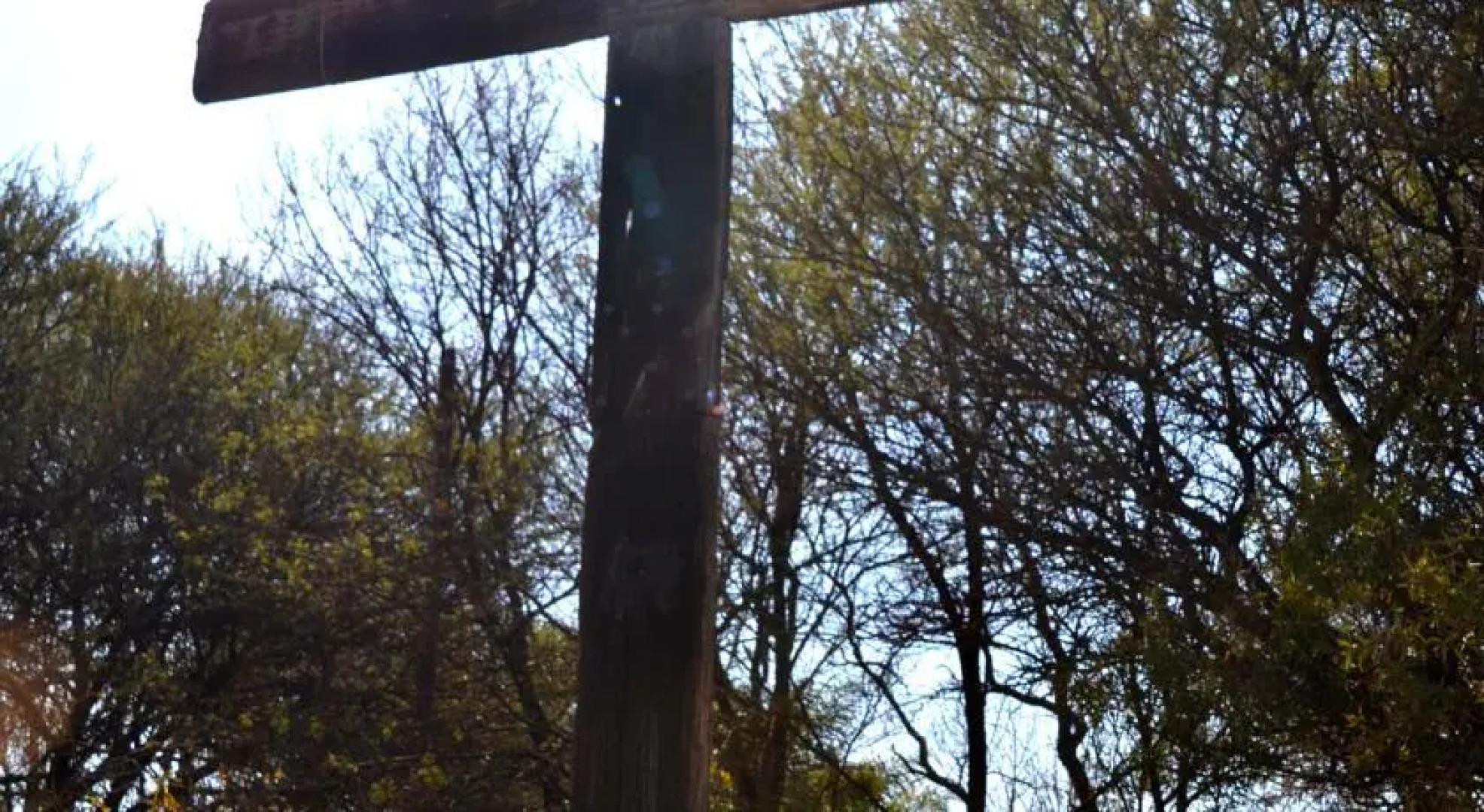 Guest House Retro Motel