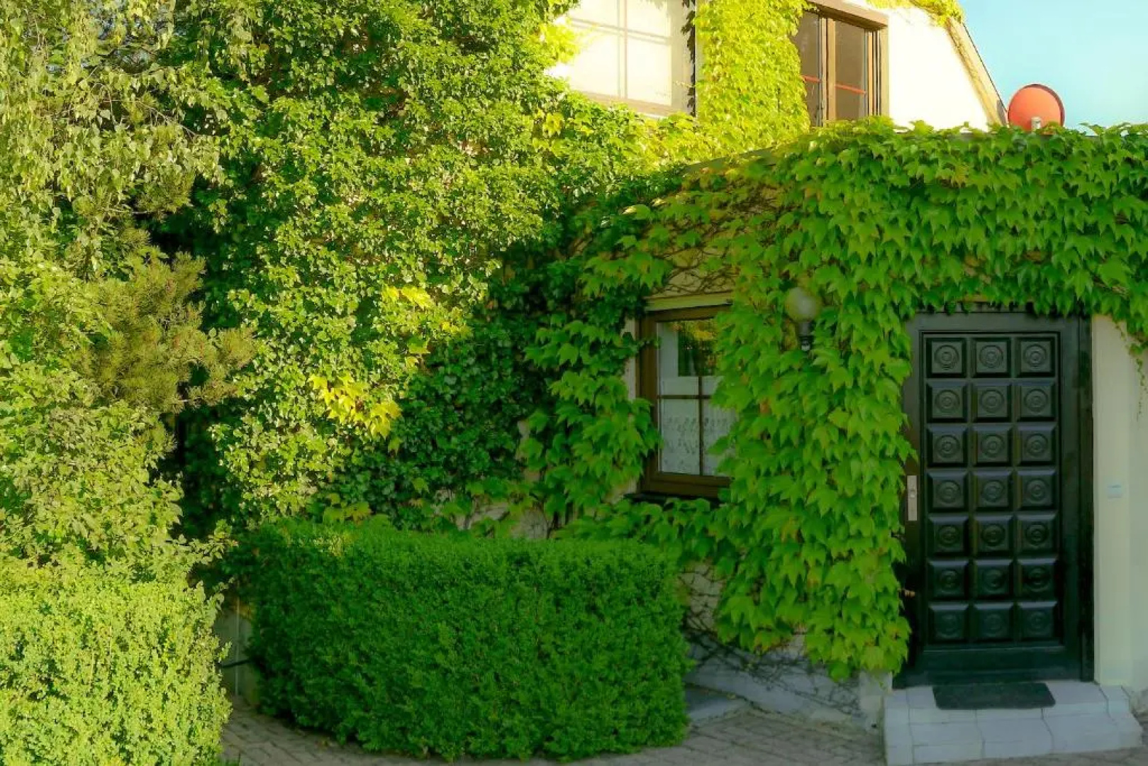 Biburg86420