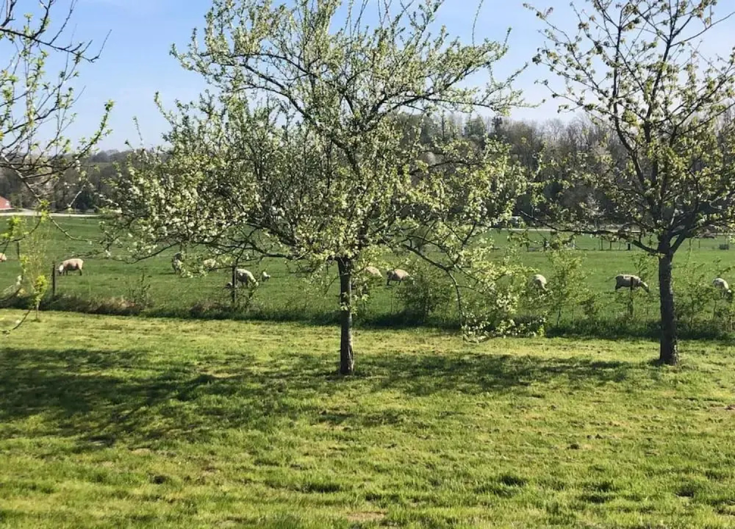 Charming Apartment in Ardennes