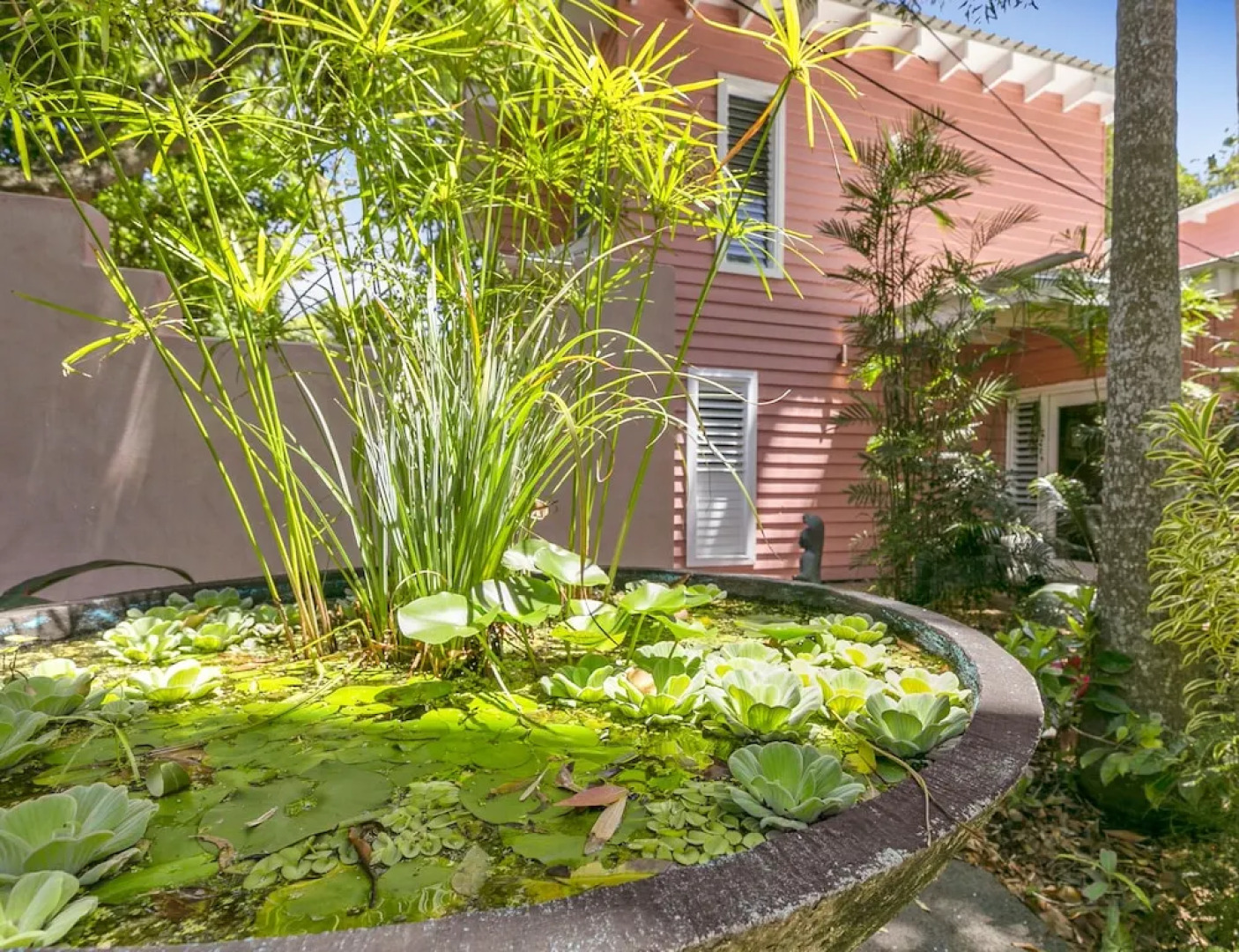 Dolphins Beach House - Hostel