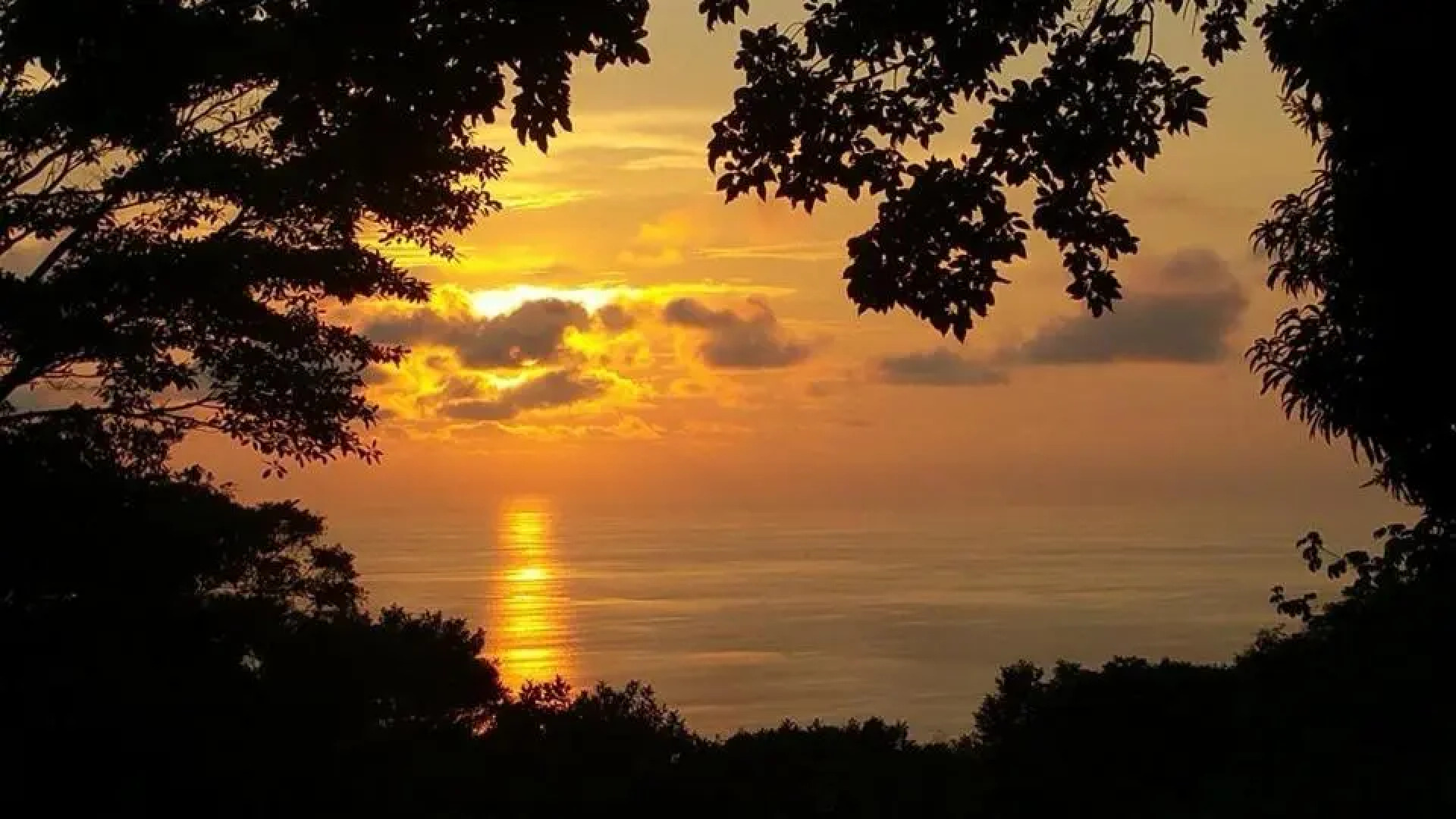 Tree of Life Cabinas