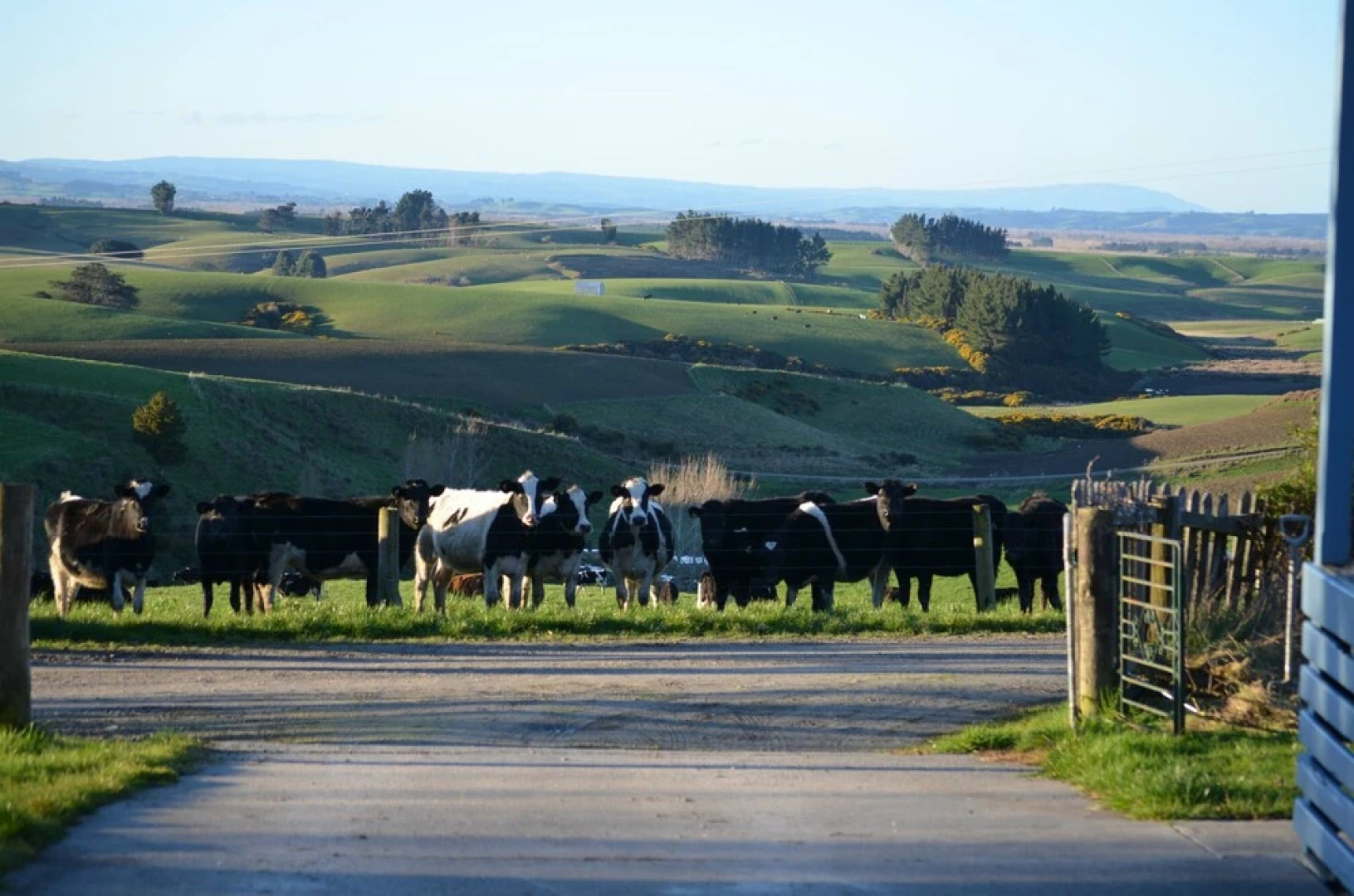 The Cloan At The Catlins