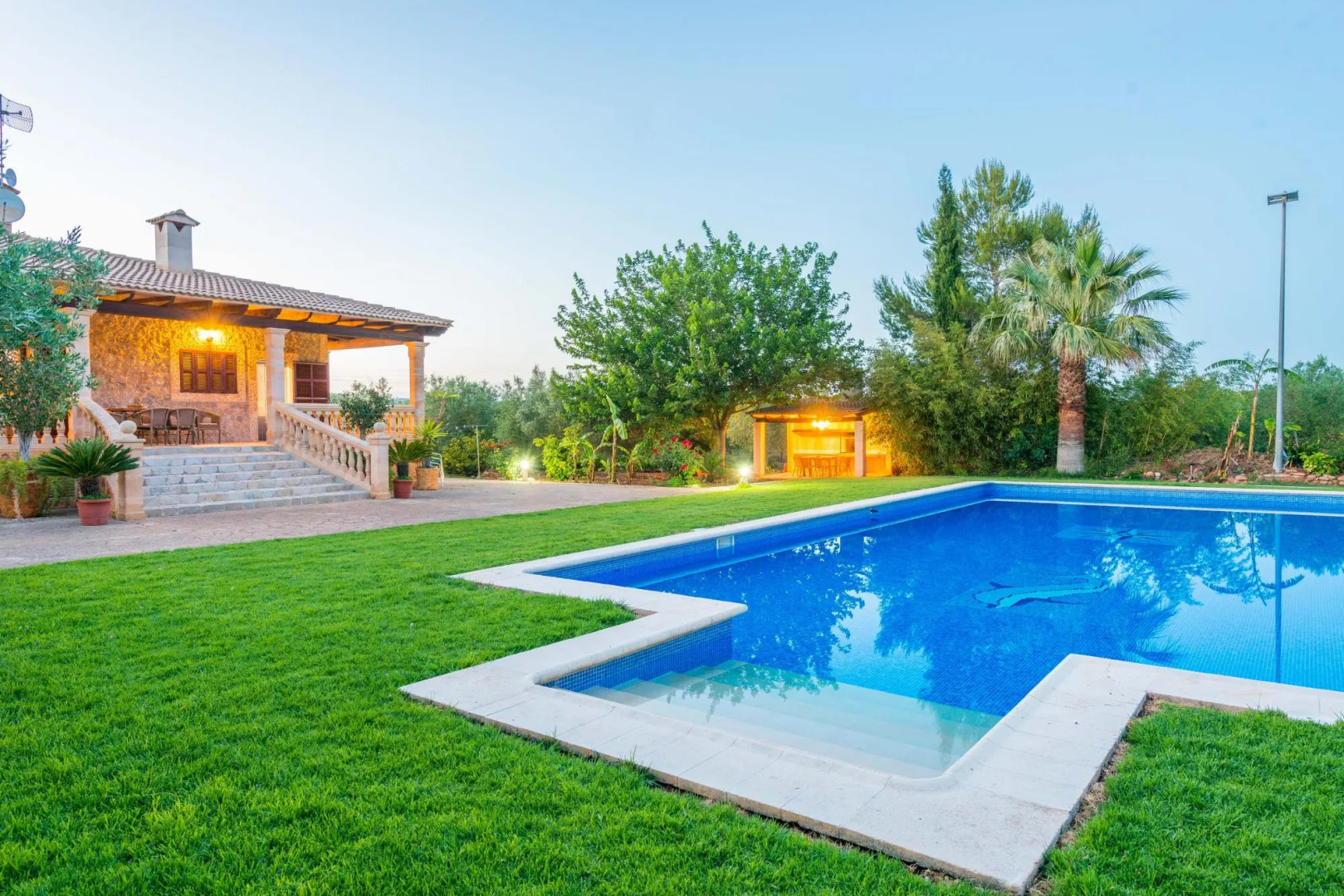 Can Berguins in Buger