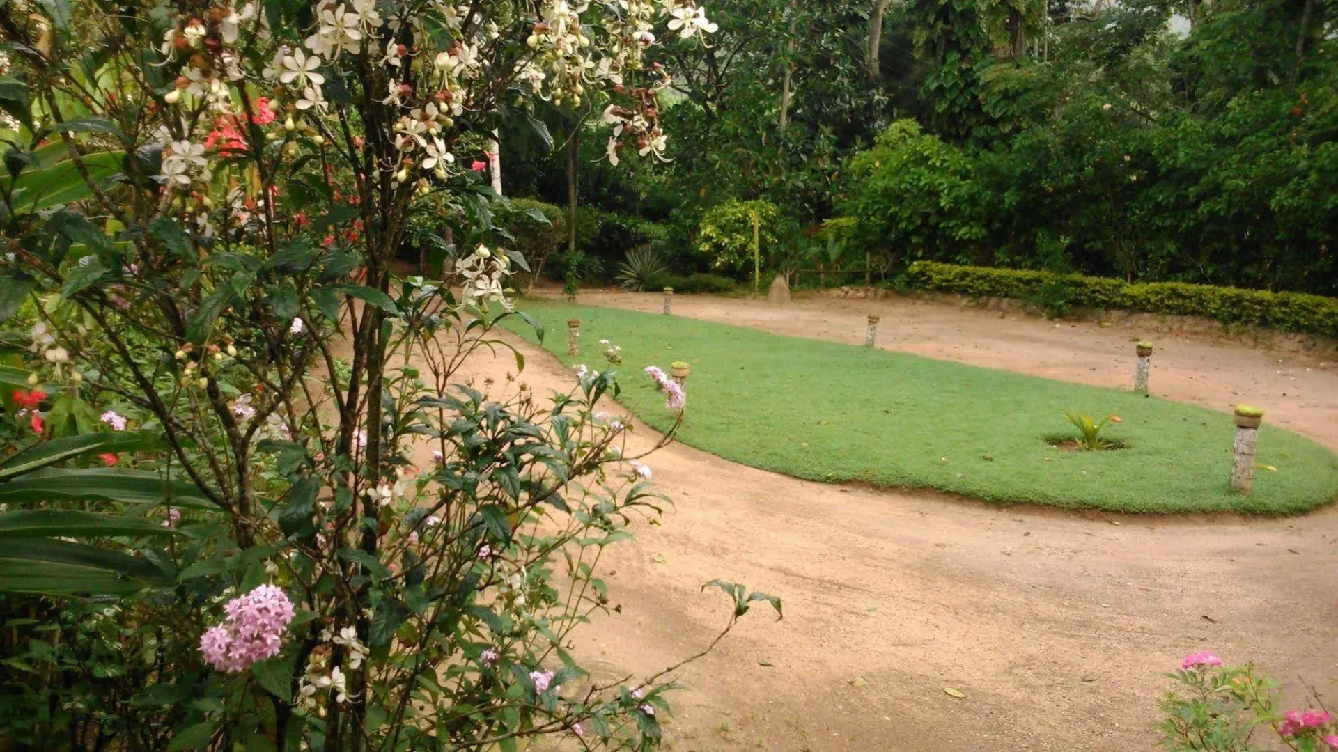 Sunnyside Holiday Bungalow