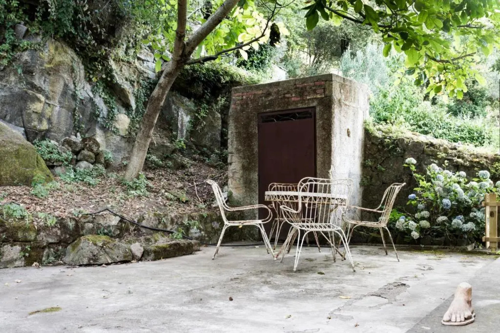 La Casa con il Bosco