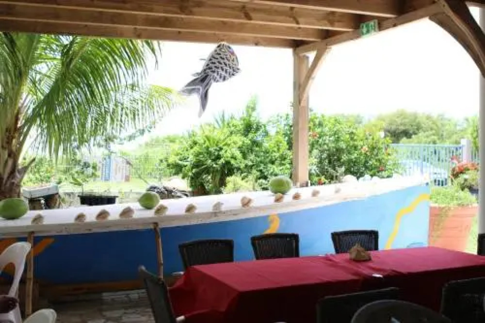 Le Paradis des Anges