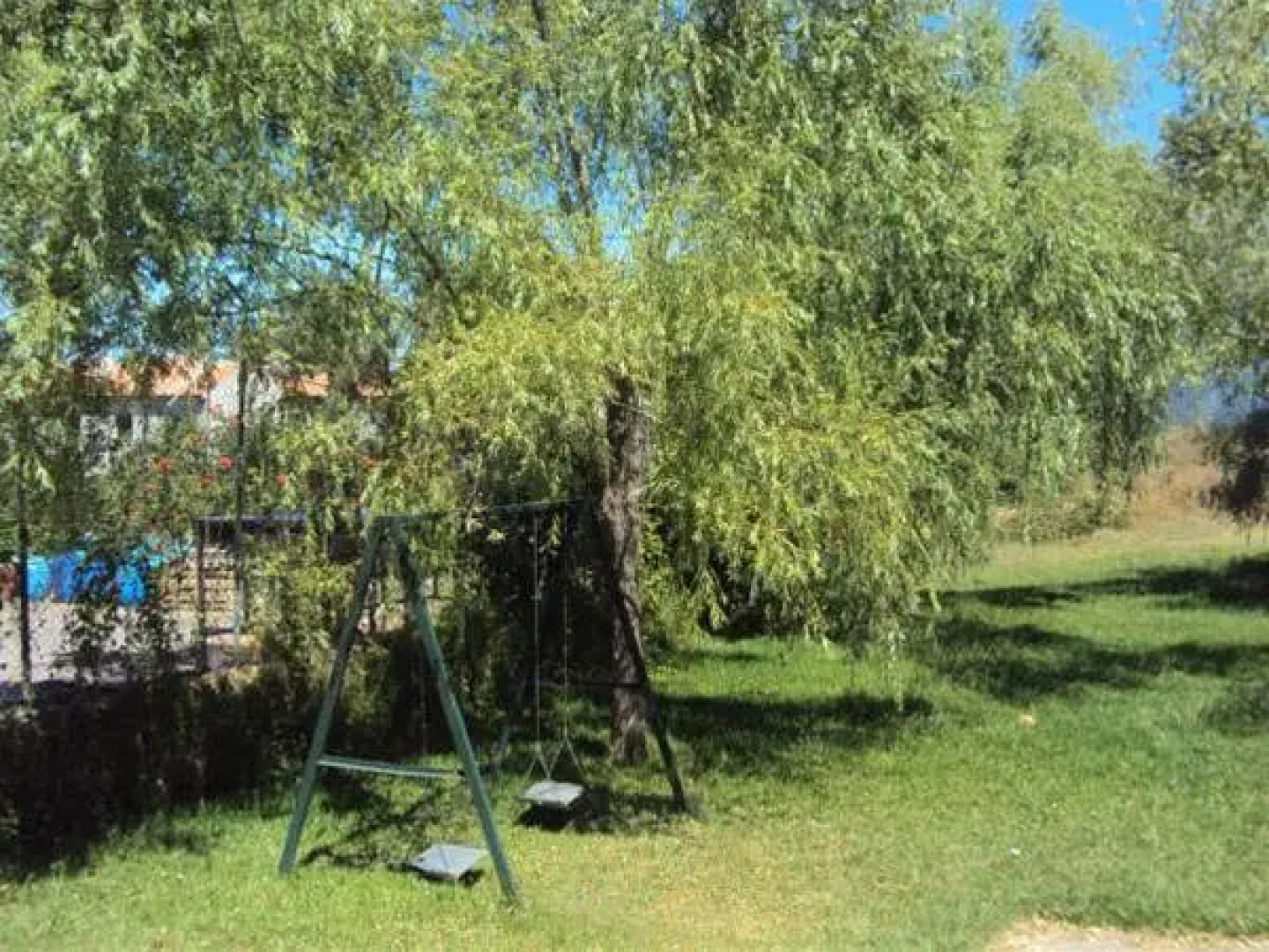 El Aceitón