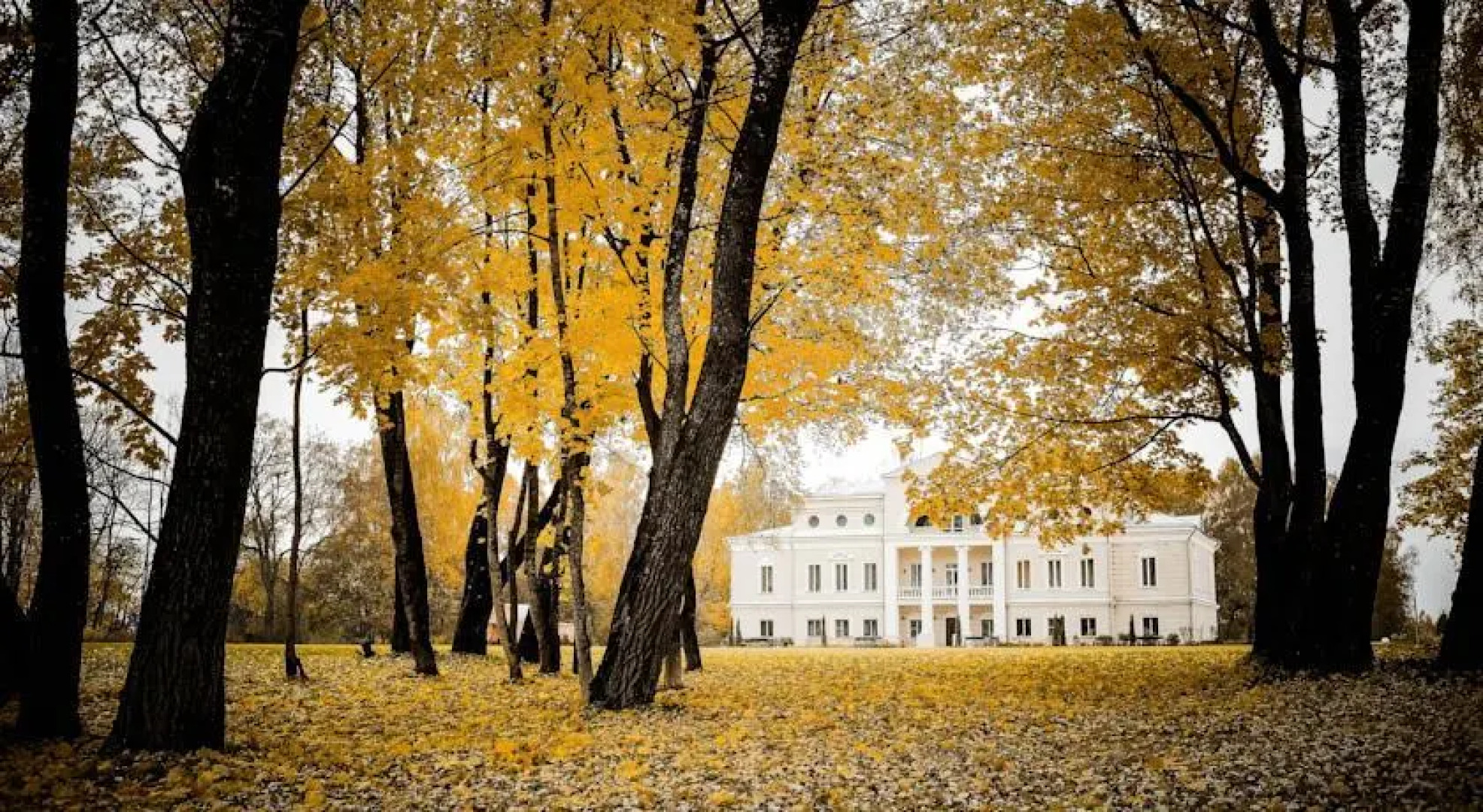 Отель ЛаФер