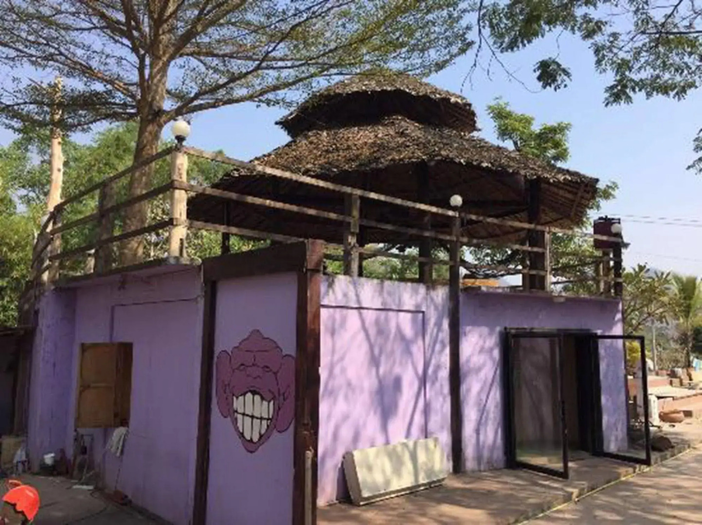 Purple Monkey Backpackers