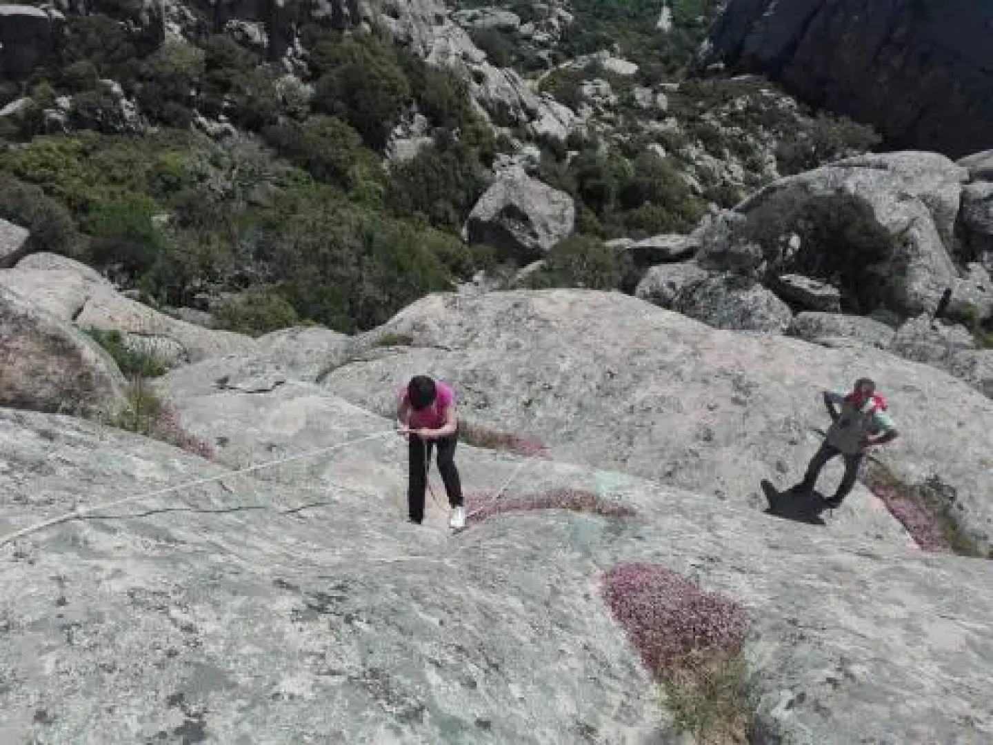 Agriturismo La Vigna