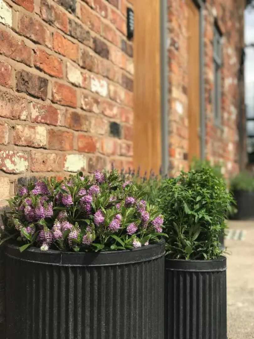 Rylands Farm Guest House